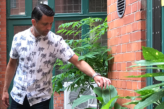 Alla trivs på Anthons paradisgård