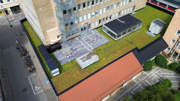 Sedumtak bidrar till en mer hållbar stadsmiljö